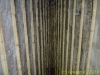 090810081543